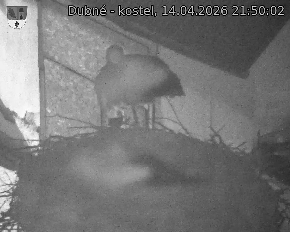 Capi_Dubne_20260414_215002.jpg (1350&nbsp;x&nbsp;1080)