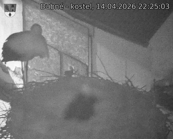 Capi_Dubne_20260414_222503.jpg (1350&nbsp;x&nbsp;1080)