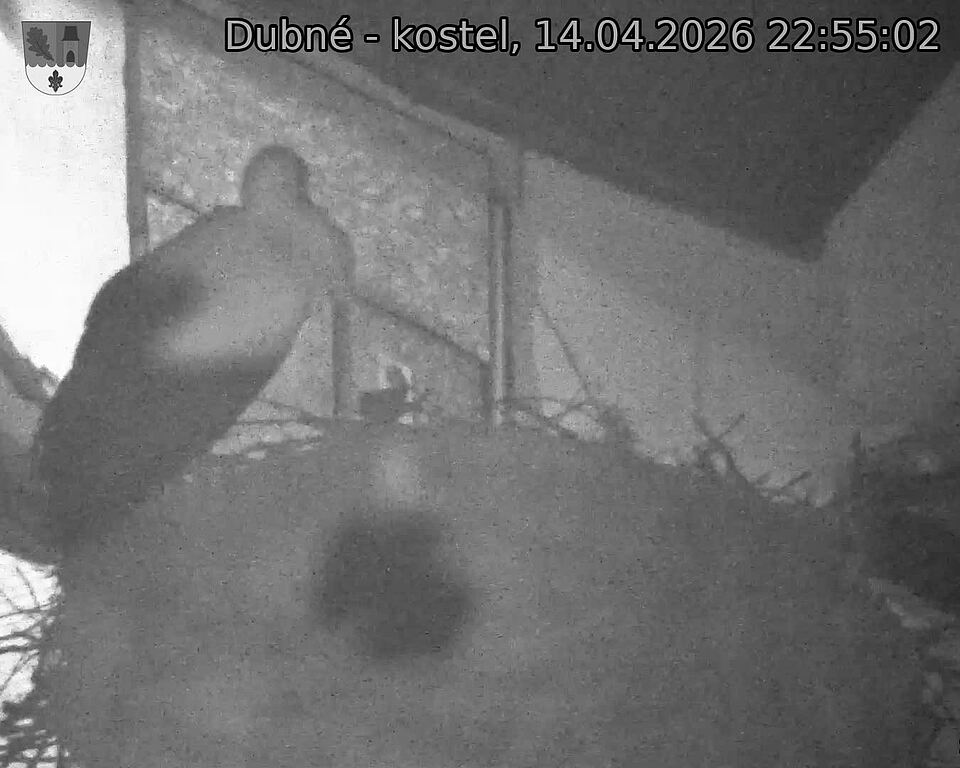 Capi_Dubne_20260414_225502.jpg (1350&nbsp;x&nbsp;1080)
