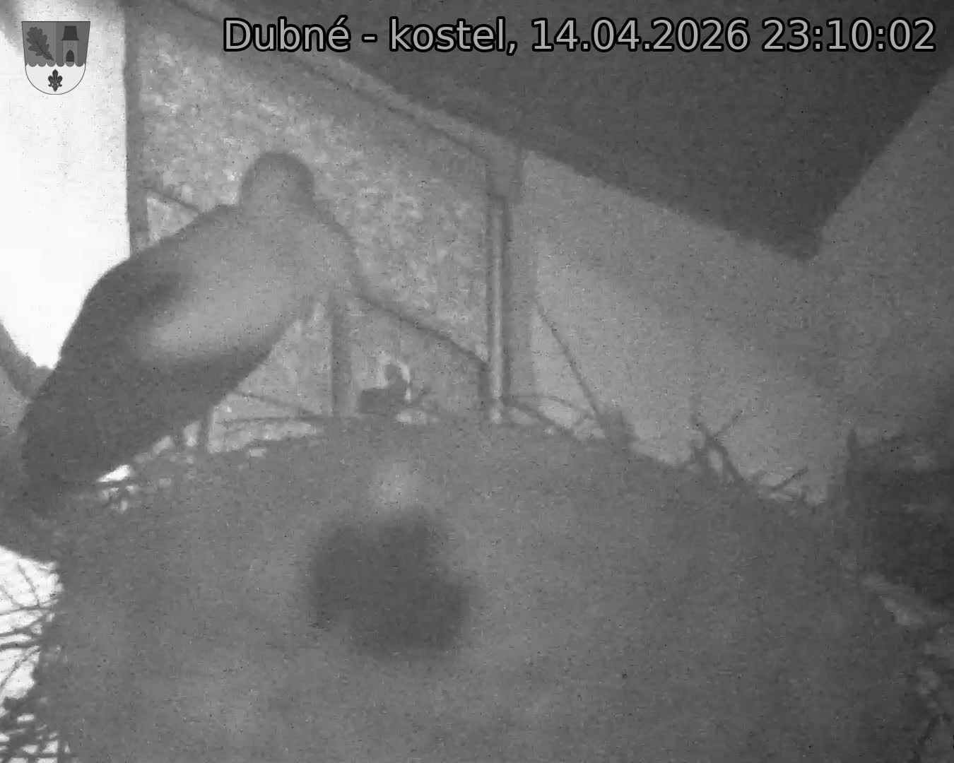 Capi_Dubne_20260414_231002.jpg (1350&nbsp;x&nbsp;1080)