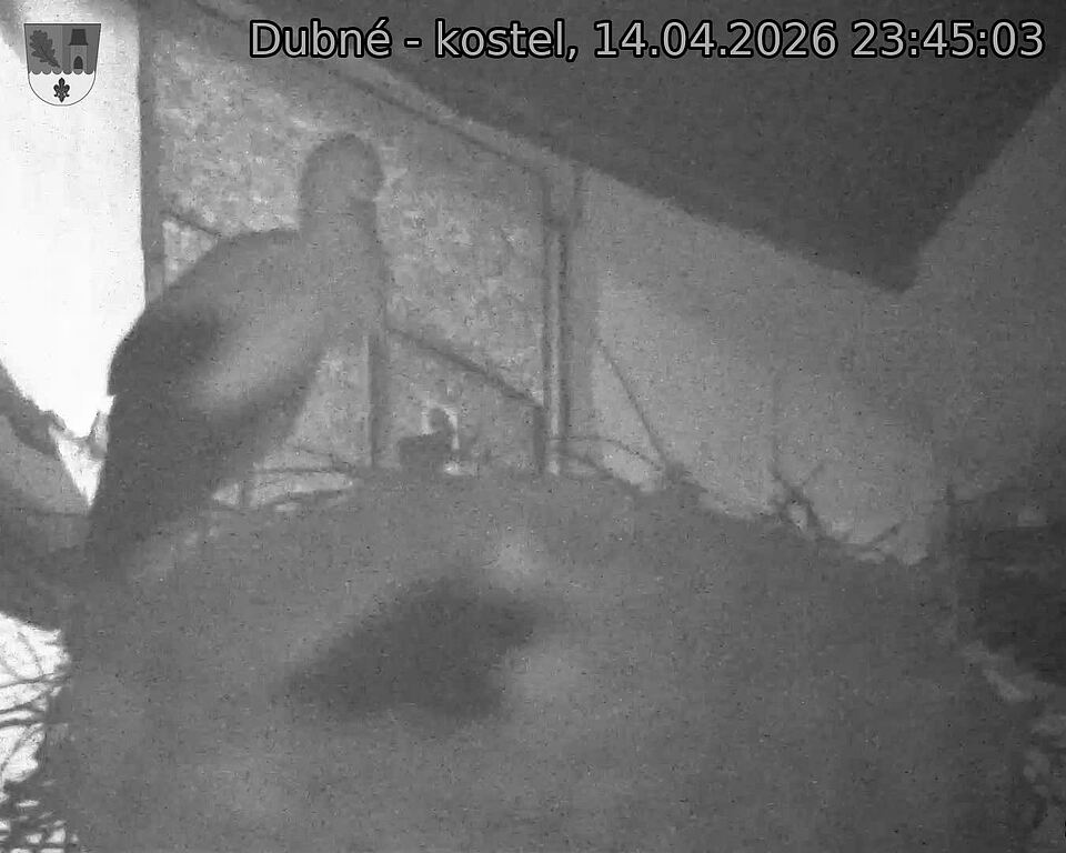 Capi_Dubne_20260414_234503.jpg (1350&nbsp;x&nbsp;1080)