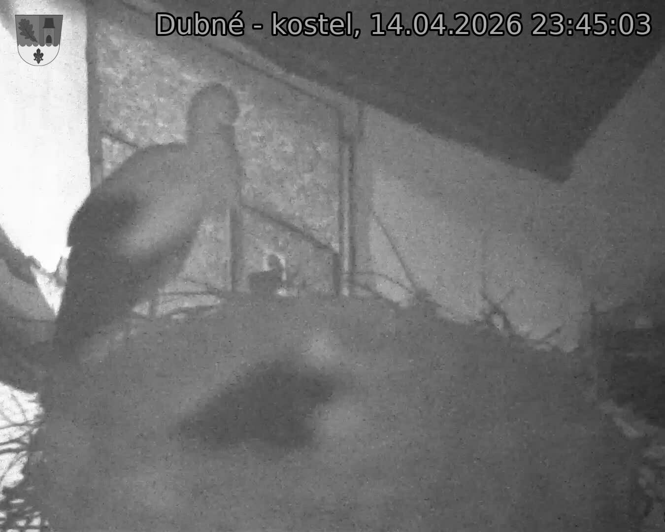 Capi_Dubne_20260414_234503.jpg (1350&nbsp;x&nbsp;1080)