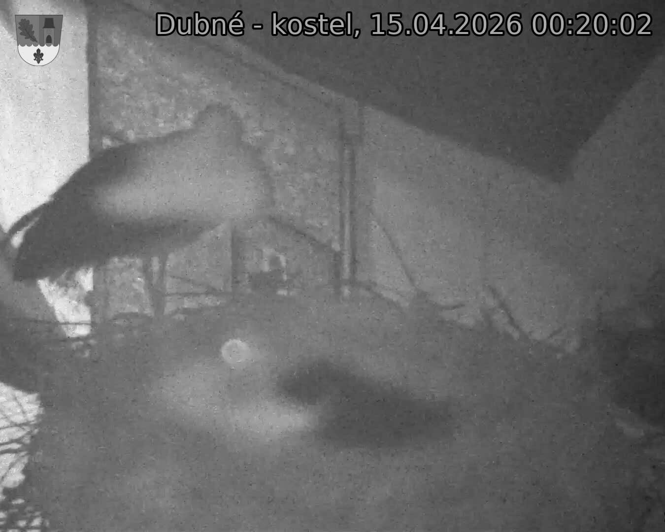 Capi_Dubne_20260415_002002.jpg (1350&nbsp;x&nbsp;1080)