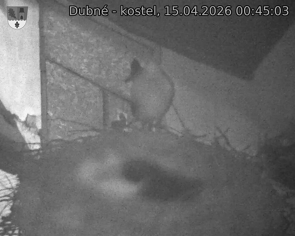 Capi_Dubne_20260415_004503.jpg (1350&nbsp;x&nbsp;1080)