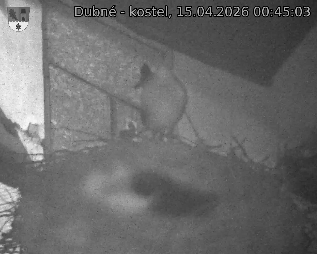 Capi_Dubne_20260415_004503.jpg (1350&nbsp;x&nbsp;1080)
