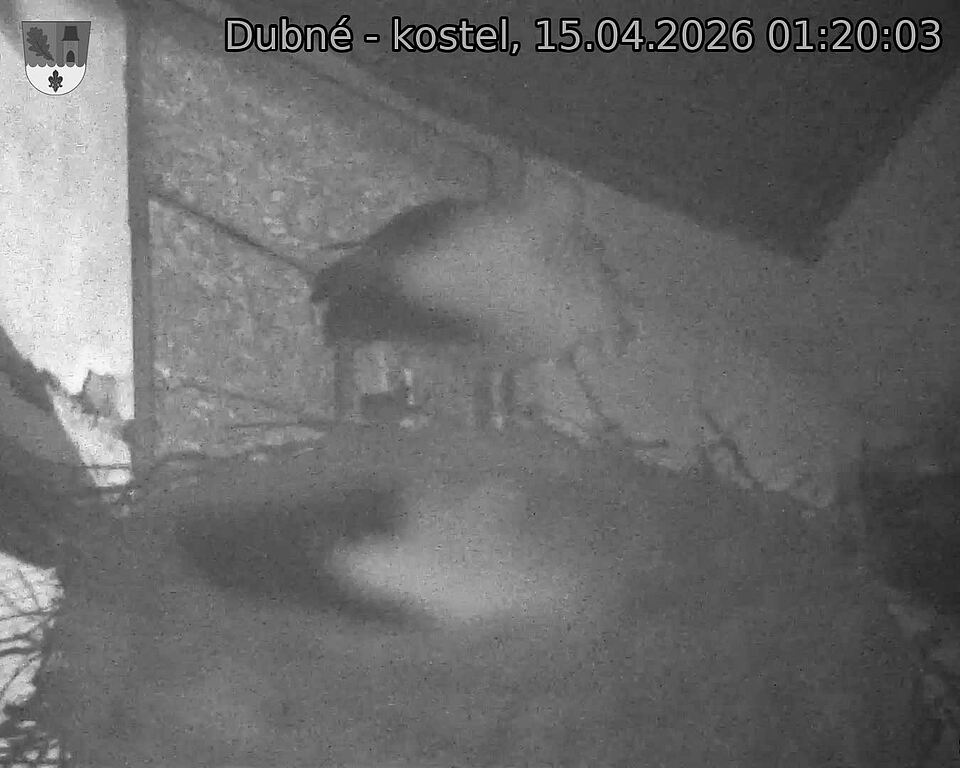 Capi_Dubne_20260415_012003.jpg (1350&nbsp;x&nbsp;1080)
