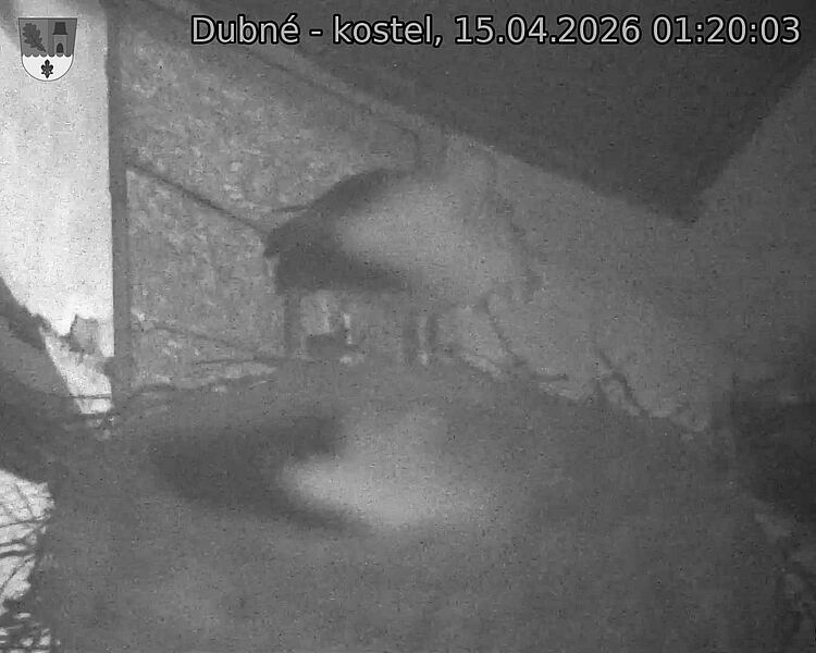 Capi_Dubne_20260415_012003.jpg (1350&nbsp;x&nbsp;1080)