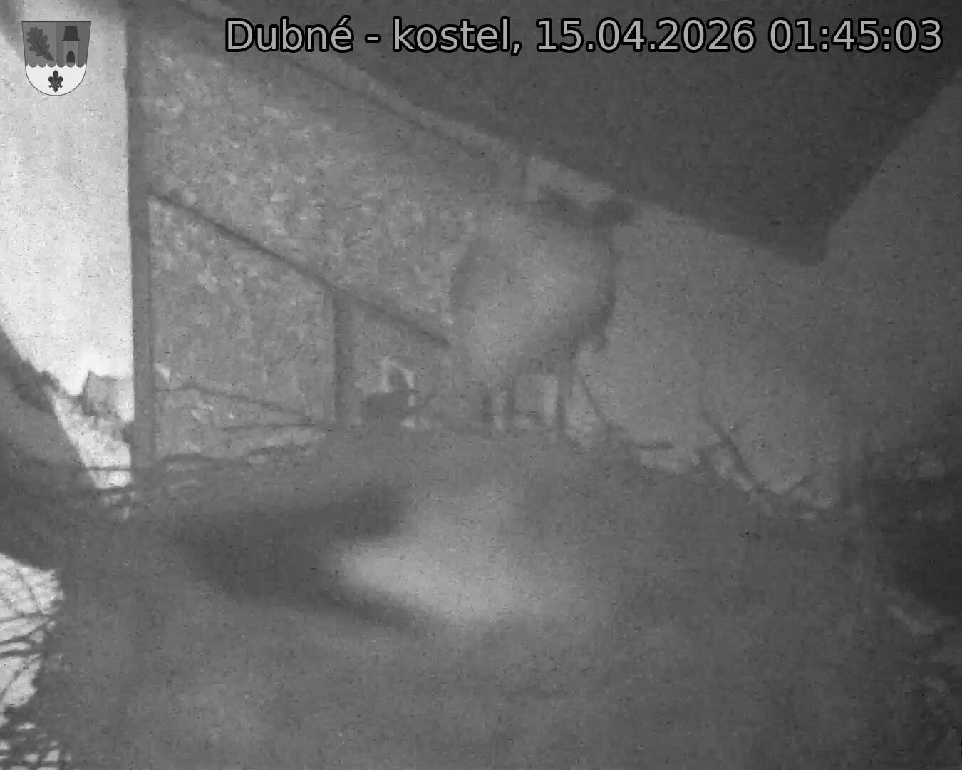 Capi_Dubne_20260415_014503.jpg (1350&nbsp;x&nbsp;1080)