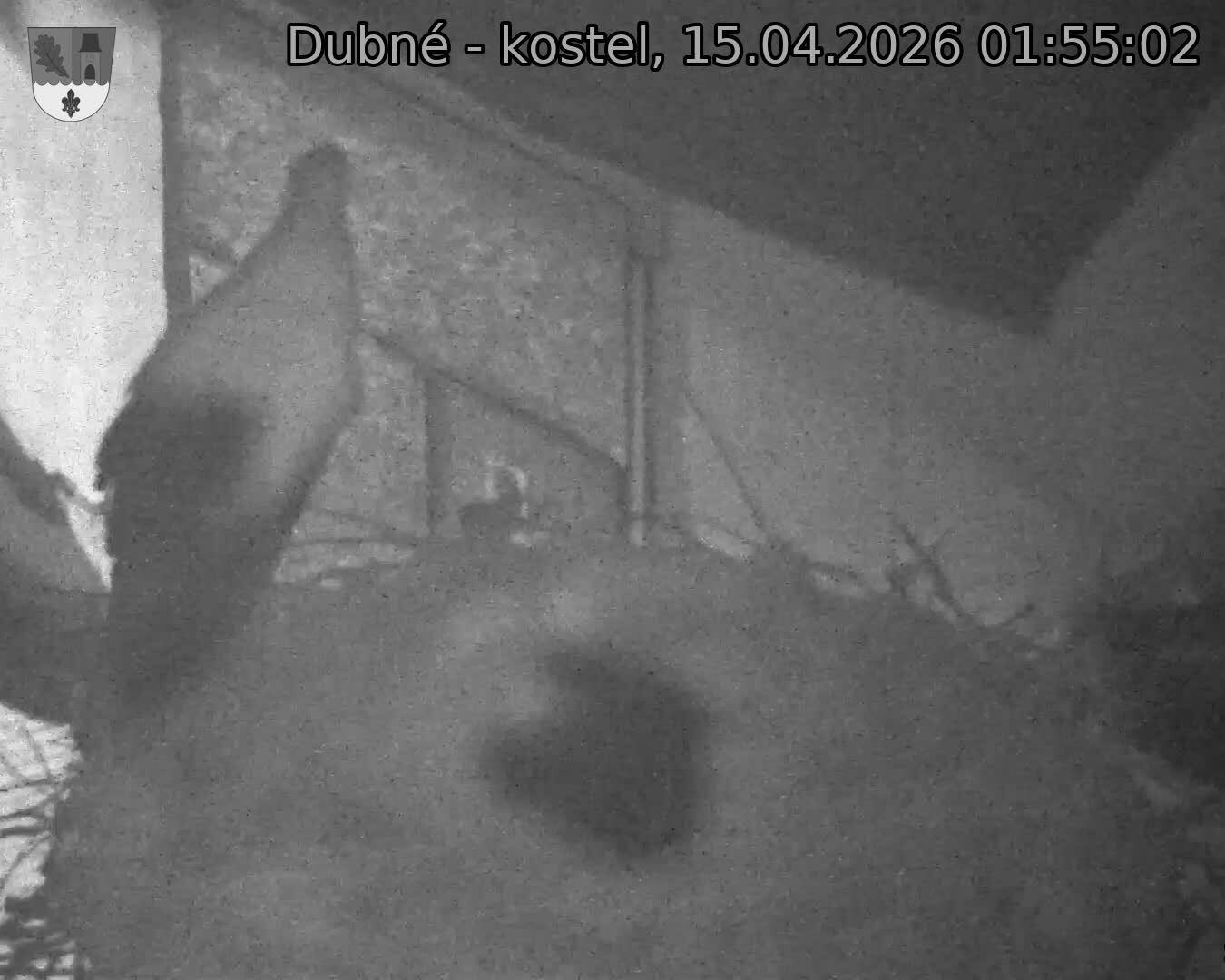 Capi_Dubne_20260415_015502.jpg (1350&nbsp;x&nbsp;1080)