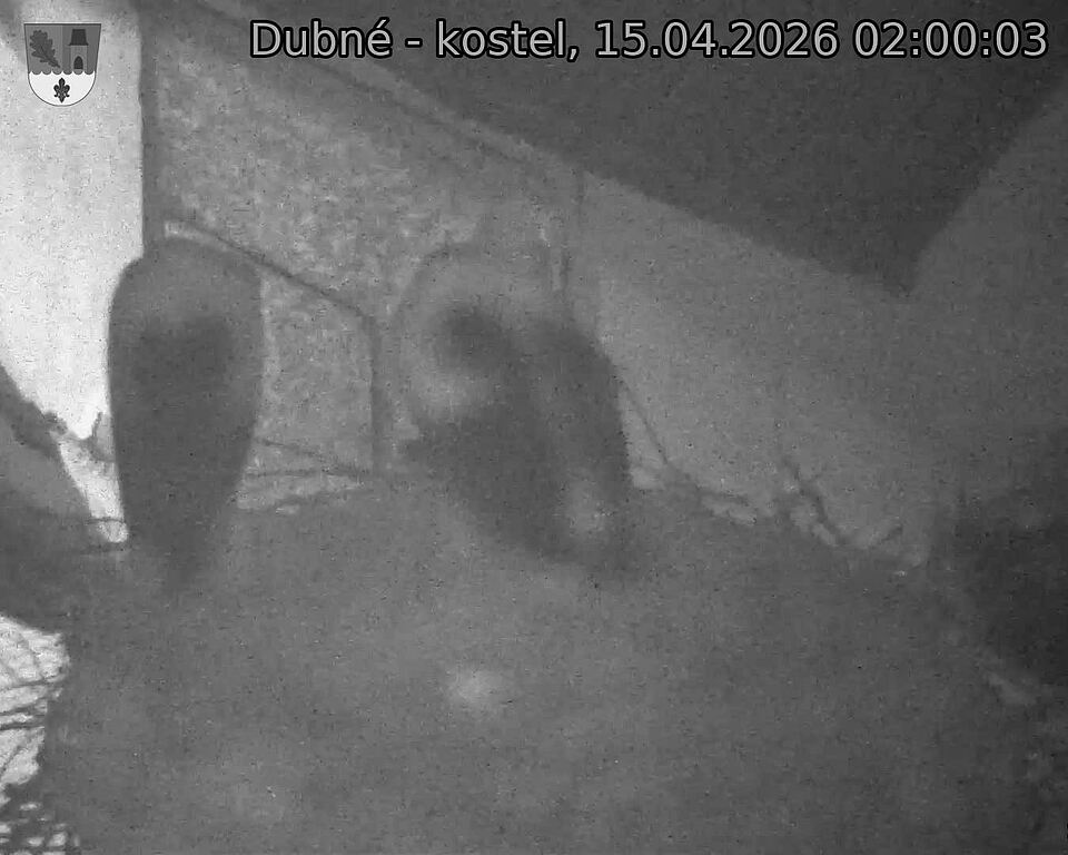 Capi_Dubne_20260415_020003.jpg (1350&nbsp;x&nbsp;1080)