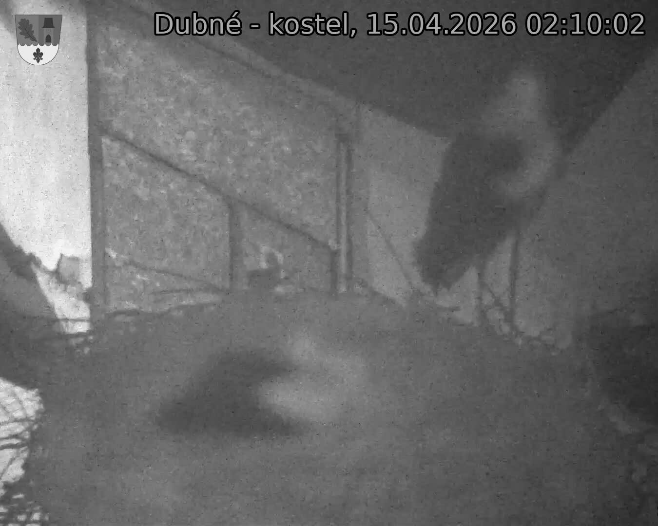 Capi_Dubne_20260415_021002.jpg (1350&nbsp;x&nbsp;1080)