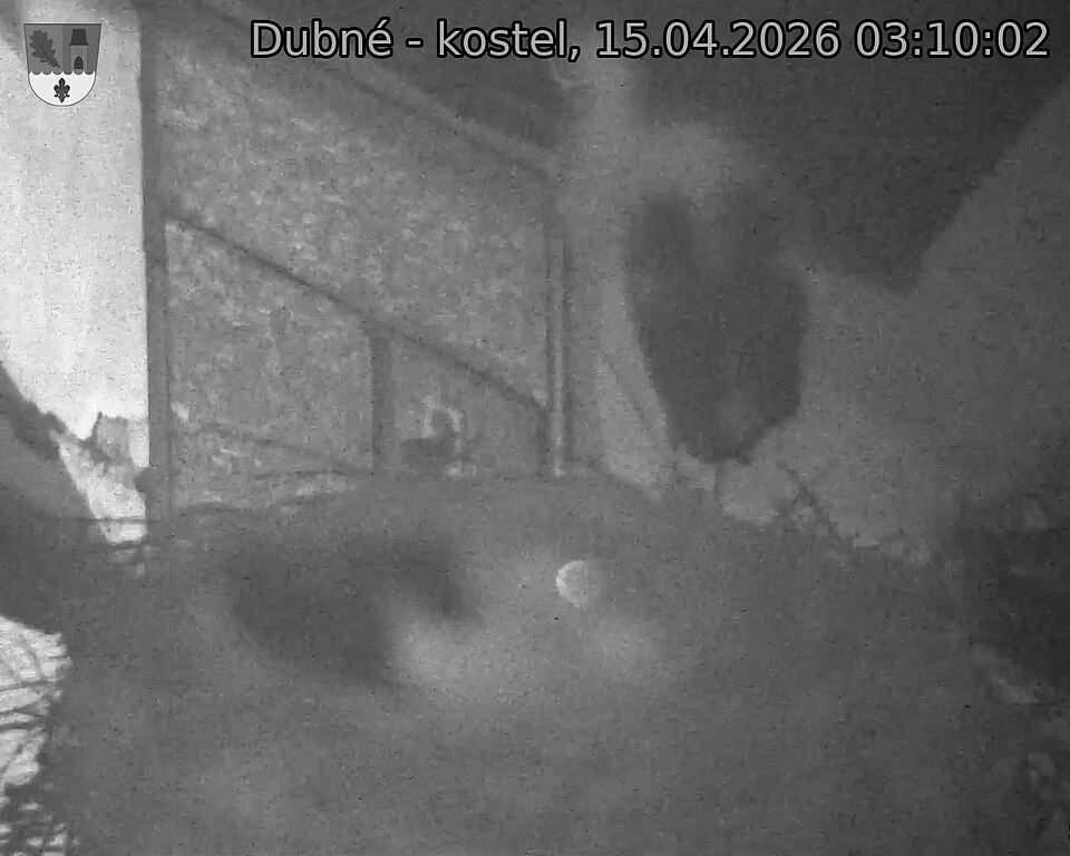 Capi_Dubne_20260415_031002.jpg (1350&nbsp;x&nbsp;1080)