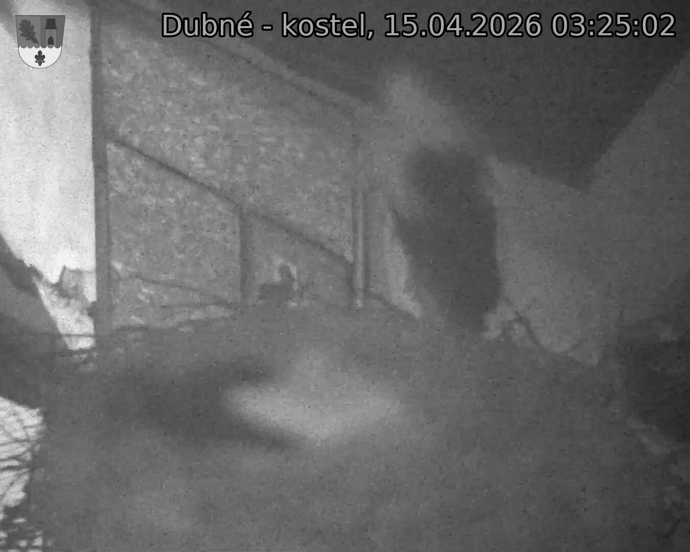 Capi_Dubne_20260415_032502.jpg (1350&nbsp;x&nbsp;1080)