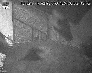 Capi_Dubne_20260415_033502.jpg (1350&nbsp;x&nbsp;1080)