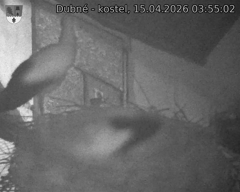 Capi_Dubne_20260415_035502.jpg (1350&nbsp;x&nbsp;1080)