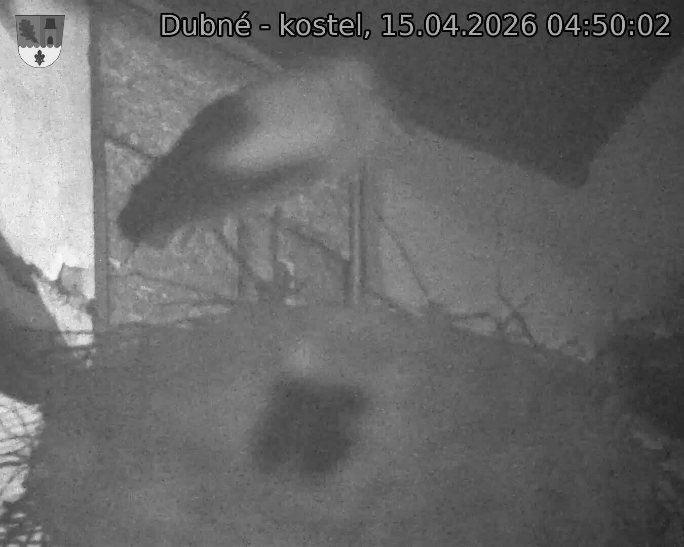 Capi_Dubne_20260415_045002.jpg (1350&nbsp;x&nbsp;1080)
