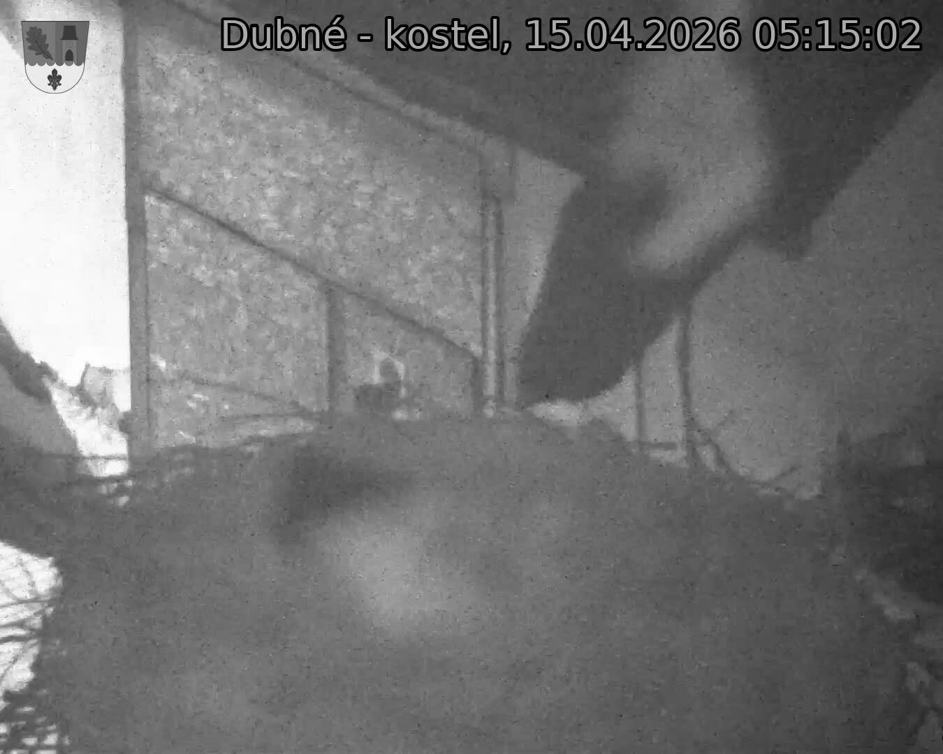 Capi_Dubne_20260415_051502.jpg (1350&nbsp;x&nbsp;1080)