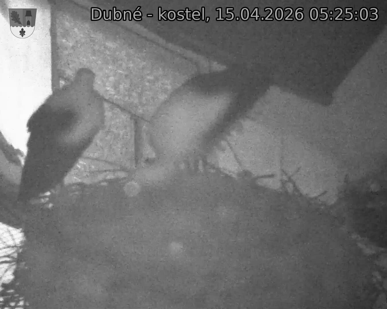 Capi_Dubne_20260415_052503.jpg (1350&nbsp;x&nbsp;1080)