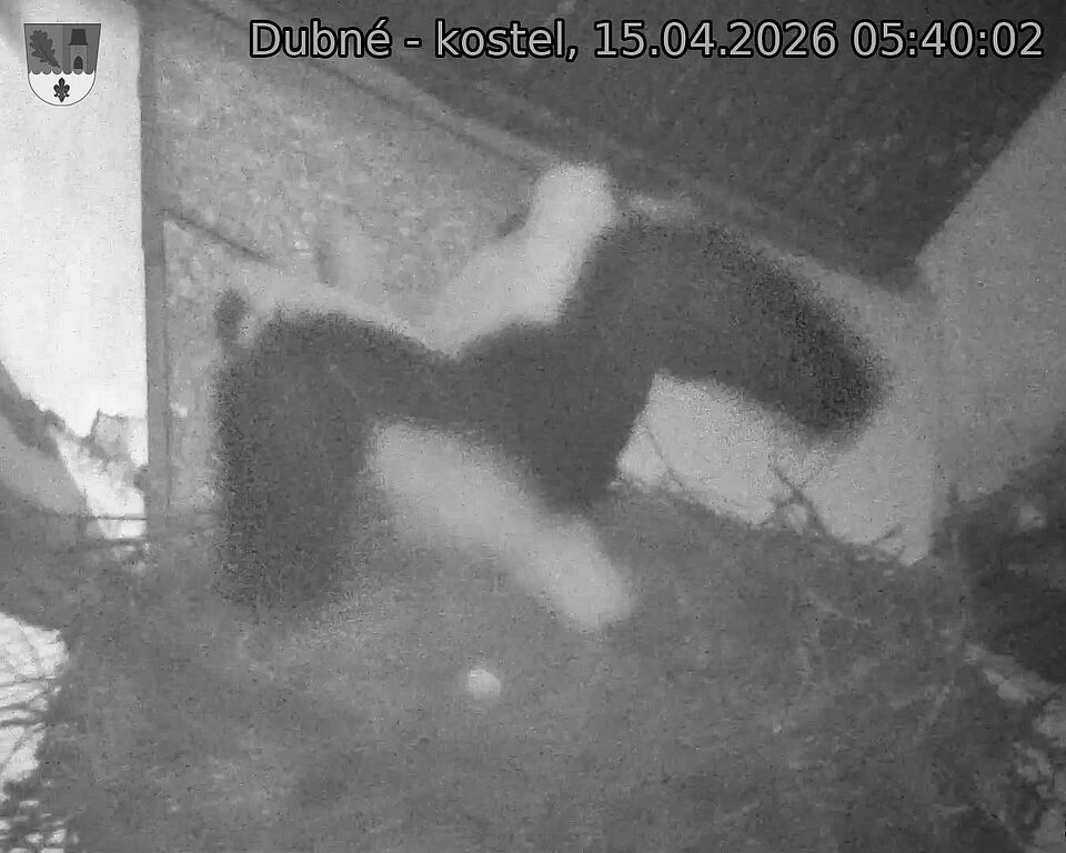 Capi_Dubne_20260415_054002.jpg (1350&nbsp;x&nbsp;1080)