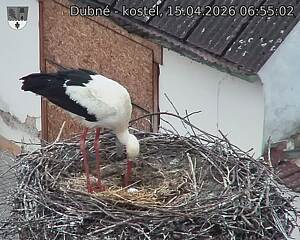 Capi_Dubne_20260415_065502.jpg (1350&nbsp;x&nbsp;1080)