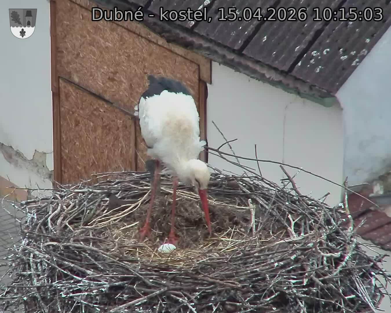 Capi_Dubne_20260415_101503.jpg (1350&nbsp;x&nbsp;1080)
