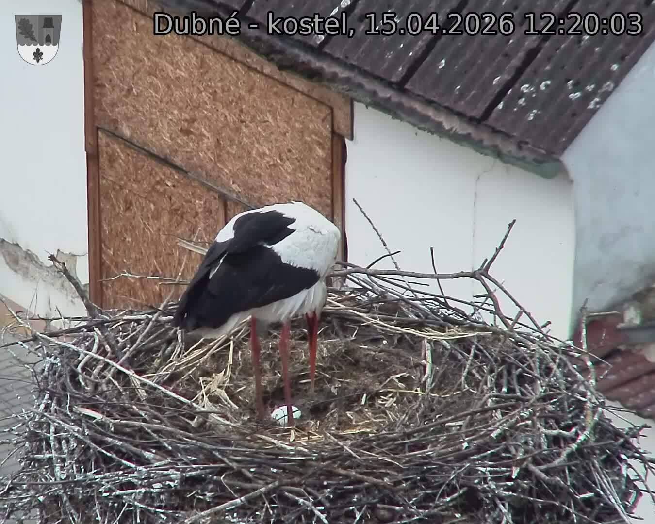 Capi_Dubne_20260415_122003.jpg (1350&nbsp;x&nbsp;1080)