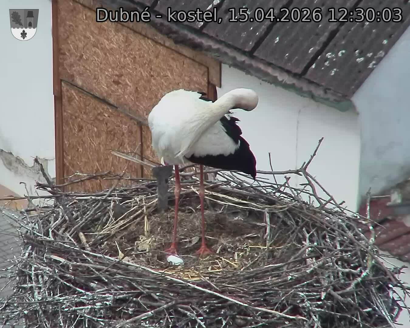 Capi_Dubne_20260415_123003.jpg (1350&nbsp;x&nbsp;1080)