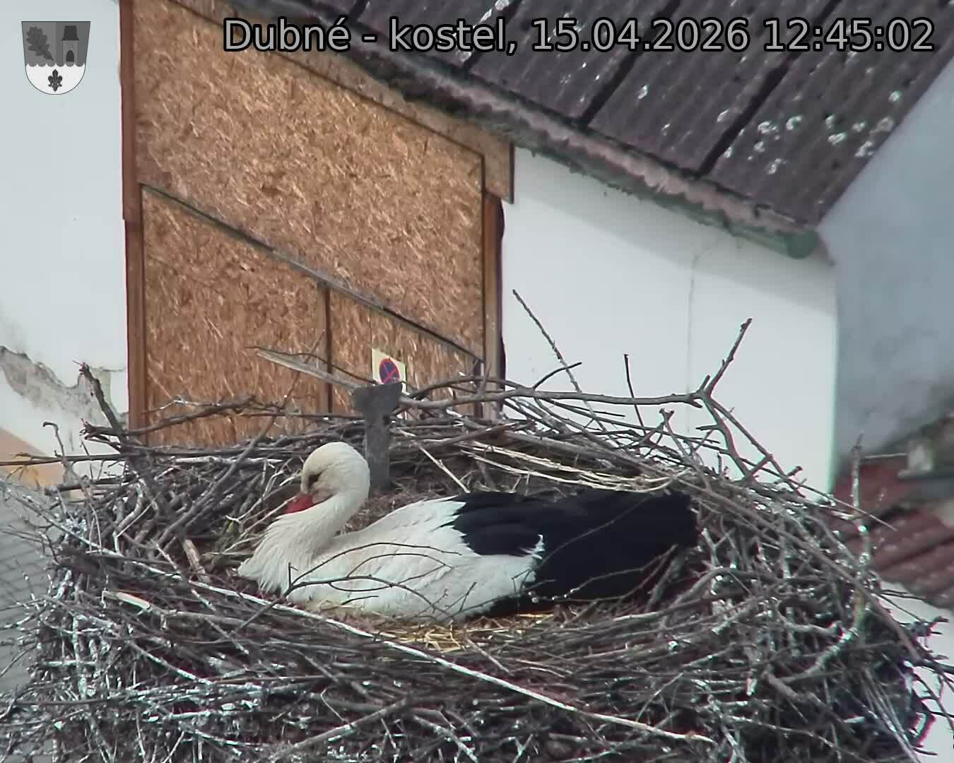 Capi_Dubne_20260415_124502.jpg (1350&nbsp;x&nbsp;1080)