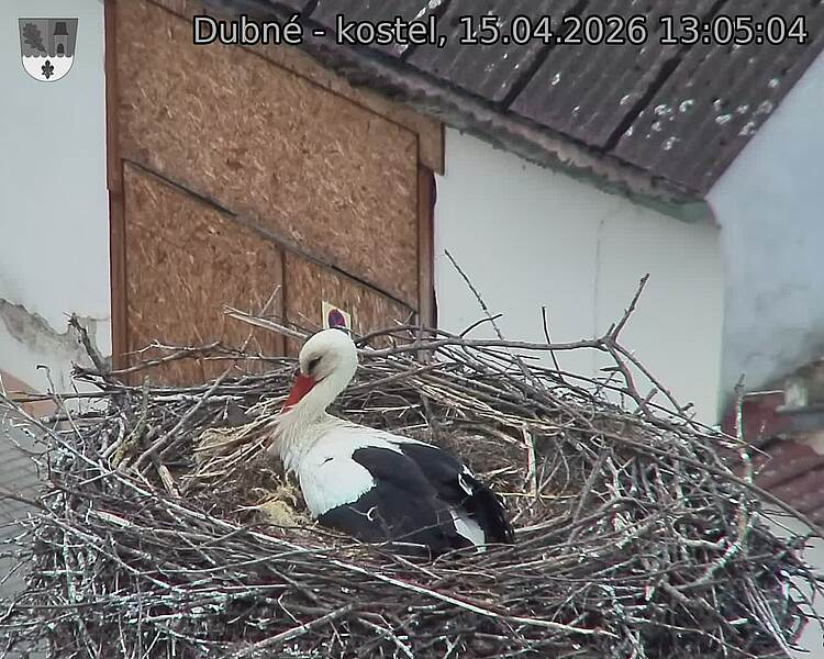 Capi_Dubne_20260415_130504.jpg (1350&nbsp;x&nbsp;1080)