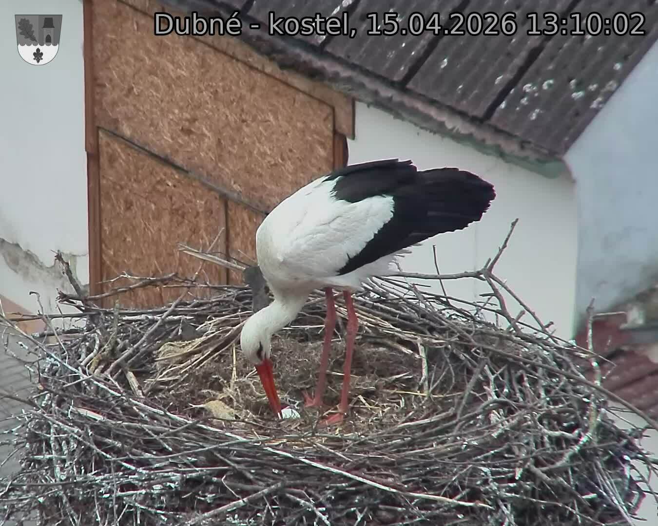 Capi_Dubne_20260415_131002.jpg (1350&nbsp;x&nbsp;1080)