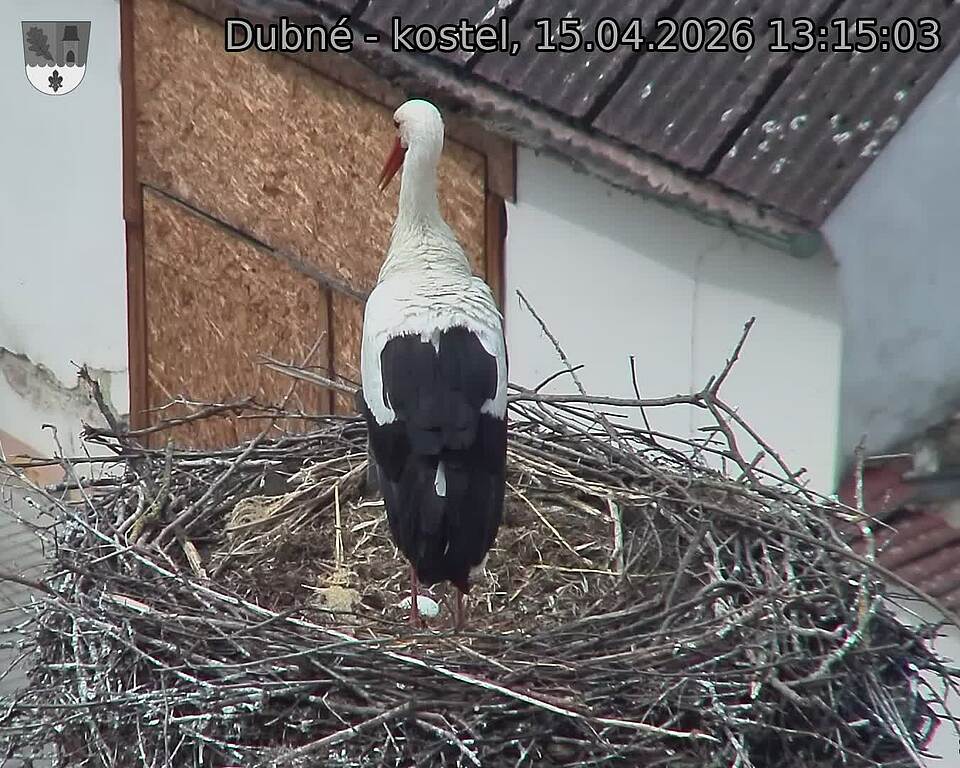 Capi_Dubne_20260415_131503.jpg (1350&nbsp;x&nbsp;1080)