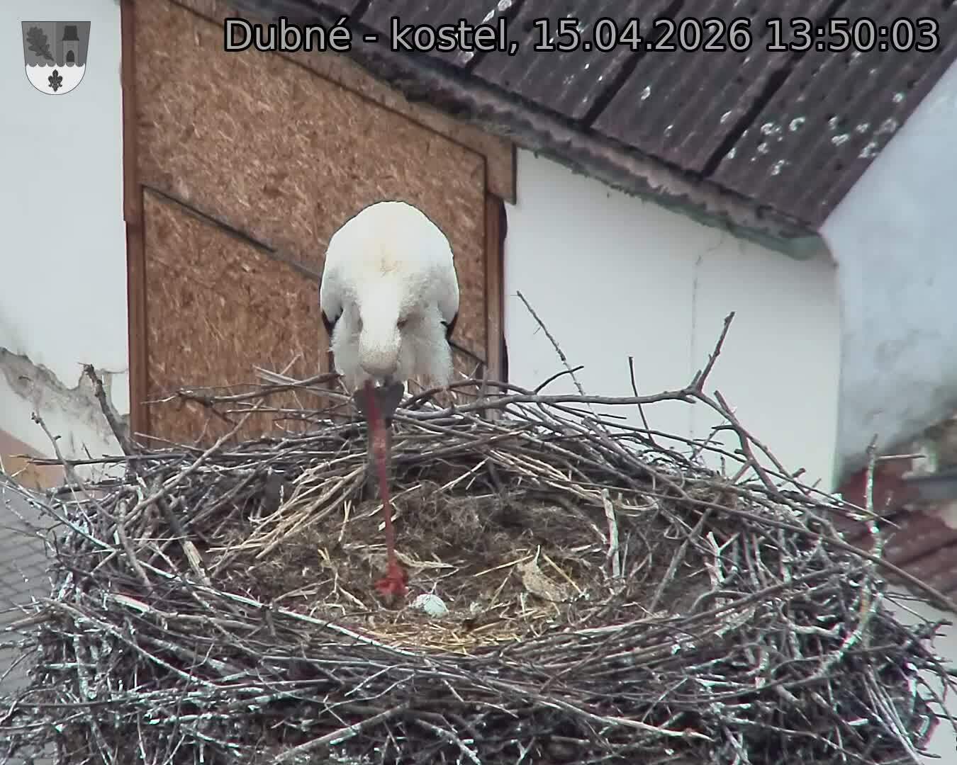 Capi_Dubne_20260415_135003.jpg (1350&nbsp;x&nbsp;1080)