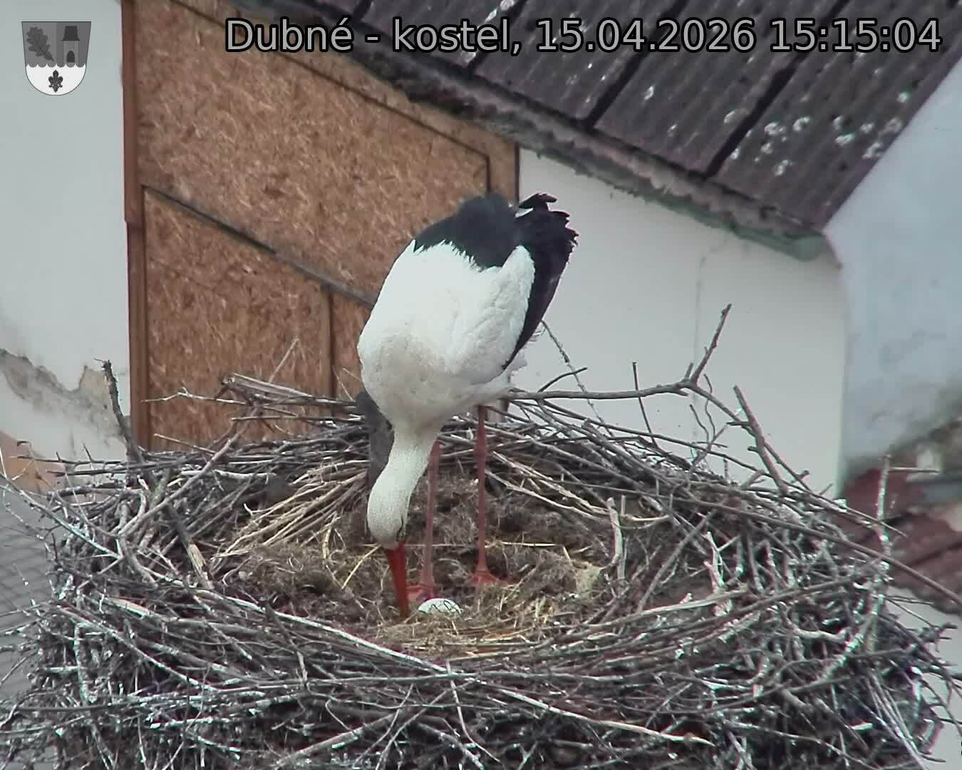 Capi_Dubne_20260415_151504.jpg (1350&nbsp;x&nbsp;1080)