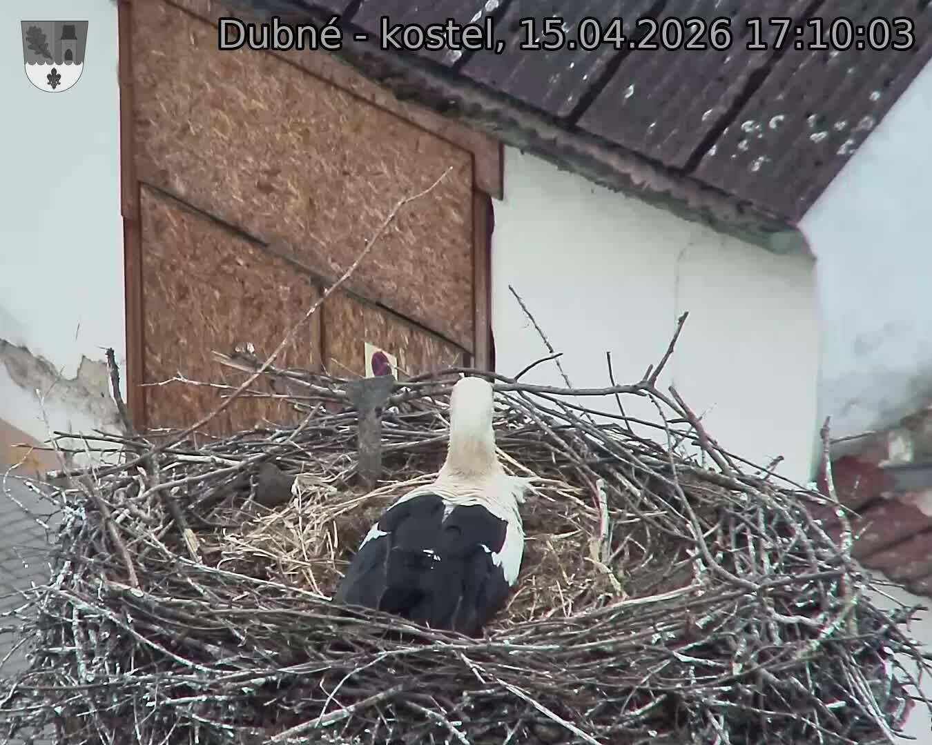 Capi_Dubne_20260415_171003.jpg (1350&nbsp;x&nbsp;1080)