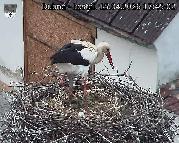 Capi_Dubne_20260415_174502.jpg (1350&nbsp;x&nbsp;1080)