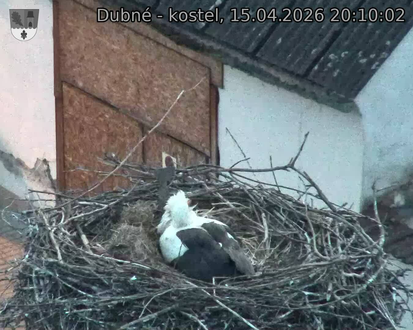 Capi_Dubne_20260415_201002.jpg (1350&nbsp;x&nbsp;1080)