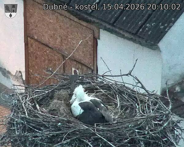 Capi_Dubne_20260415_201002.jpg (1350&nbsp;x&nbsp;1080)