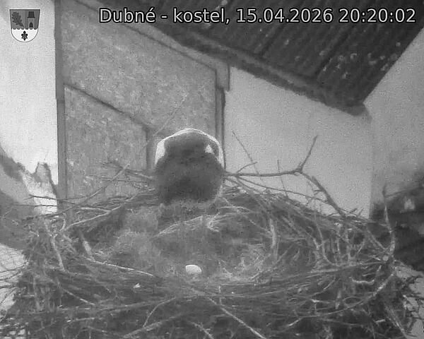 Capi_Dubne_20260415_202002.jpg (1350&nbsp;x&nbsp;1080)