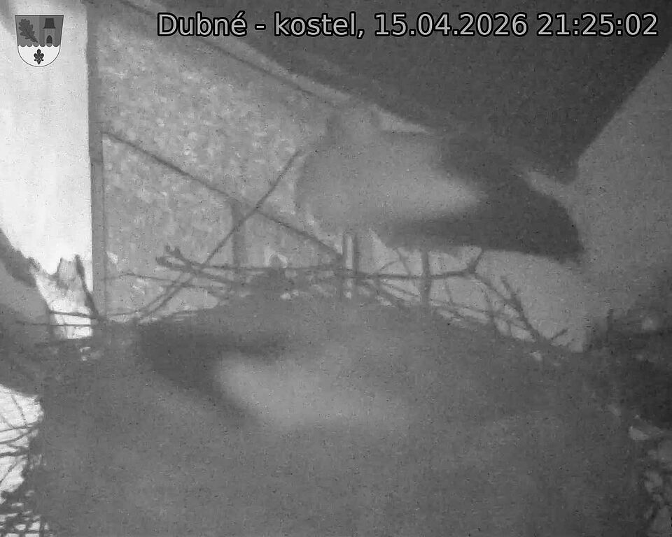 Capi_Dubne_20260415_212502.jpg (1350&nbsp;x&nbsp;1080)