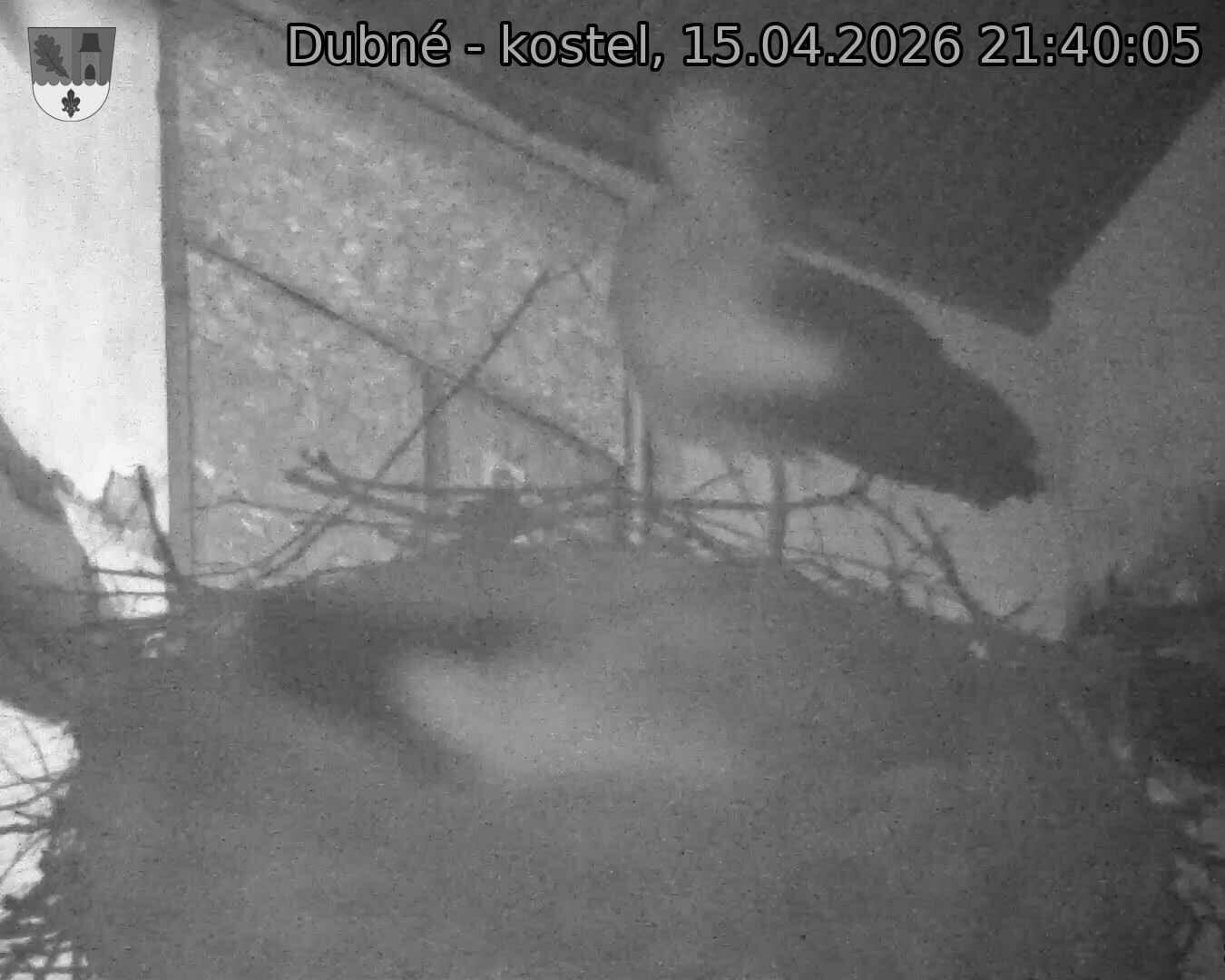 Capi_Dubne_20260415_214005.jpg (1350&nbsp;x&nbsp;1080)