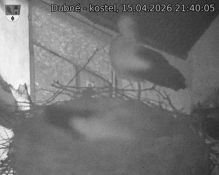 Capi_Dubne_20260415_214005.jpg (1350&nbsp;x&nbsp;1080)