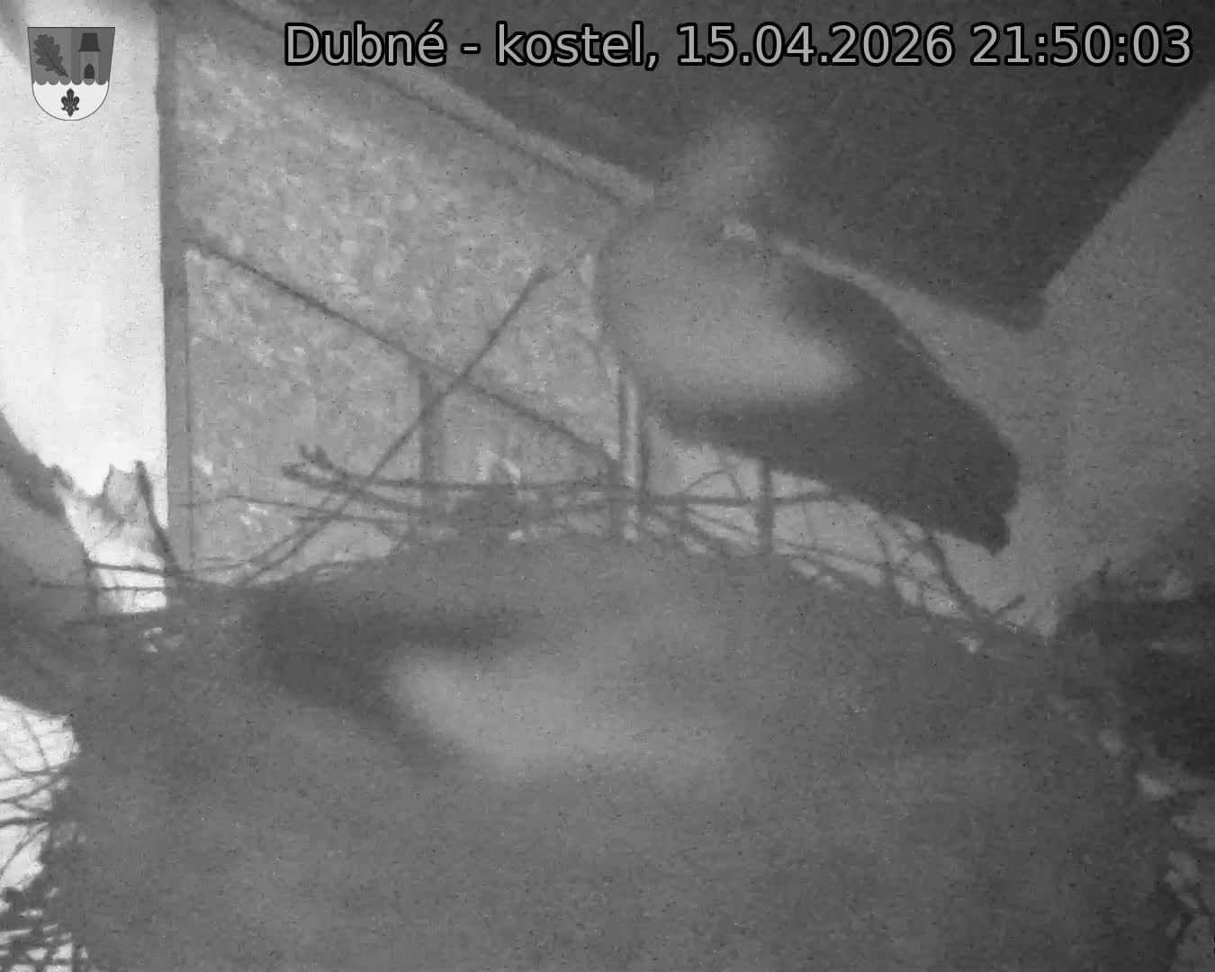 Capi_Dubne_20260415_215003.jpg (1350&nbsp;x&nbsp;1080)