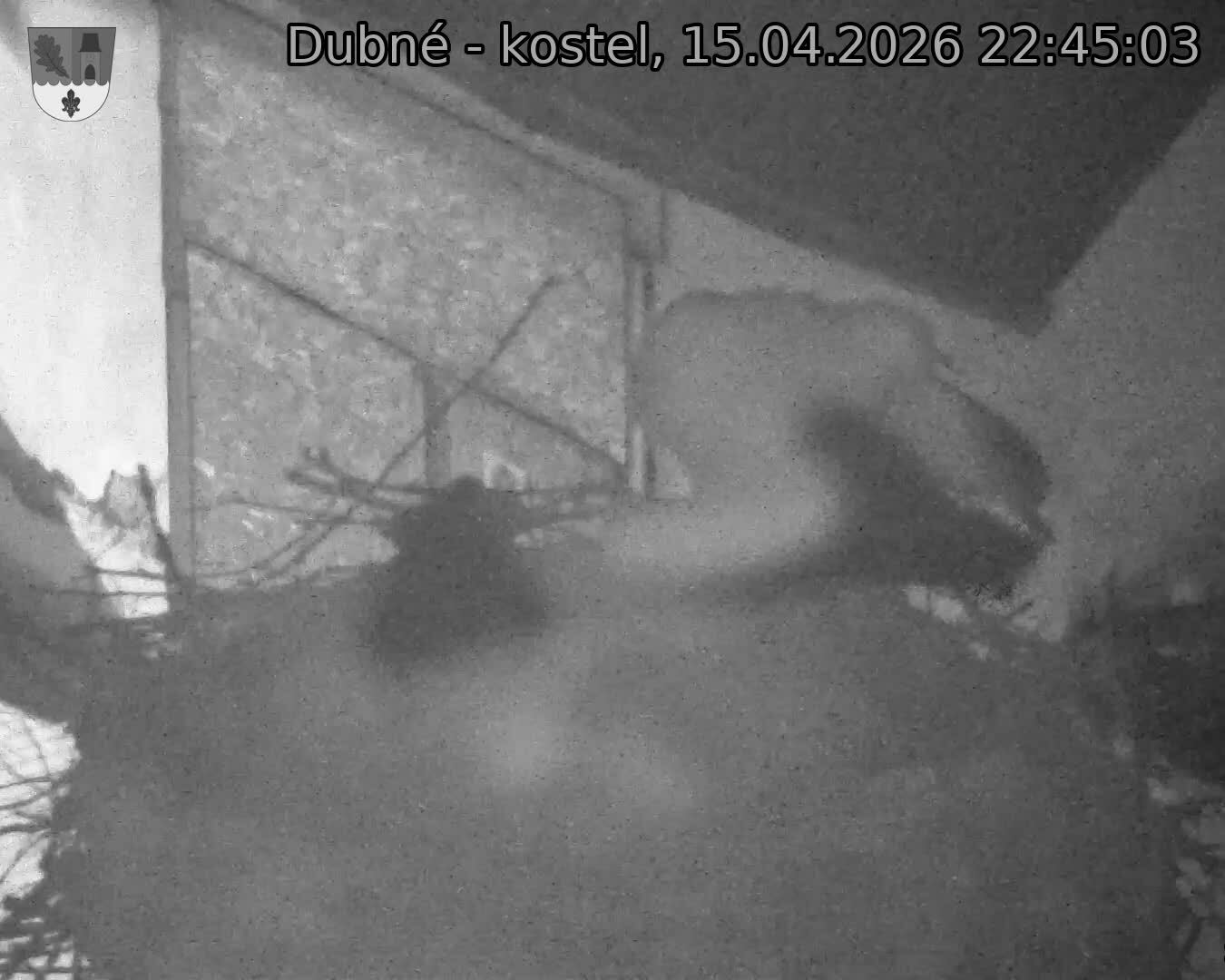 Capi_Dubne_20260415_224503.jpg (1350&nbsp;x&nbsp;1080)