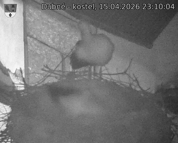 Capi_Dubne_20260415_231004.jpg (1350&nbsp;x&nbsp;1080)