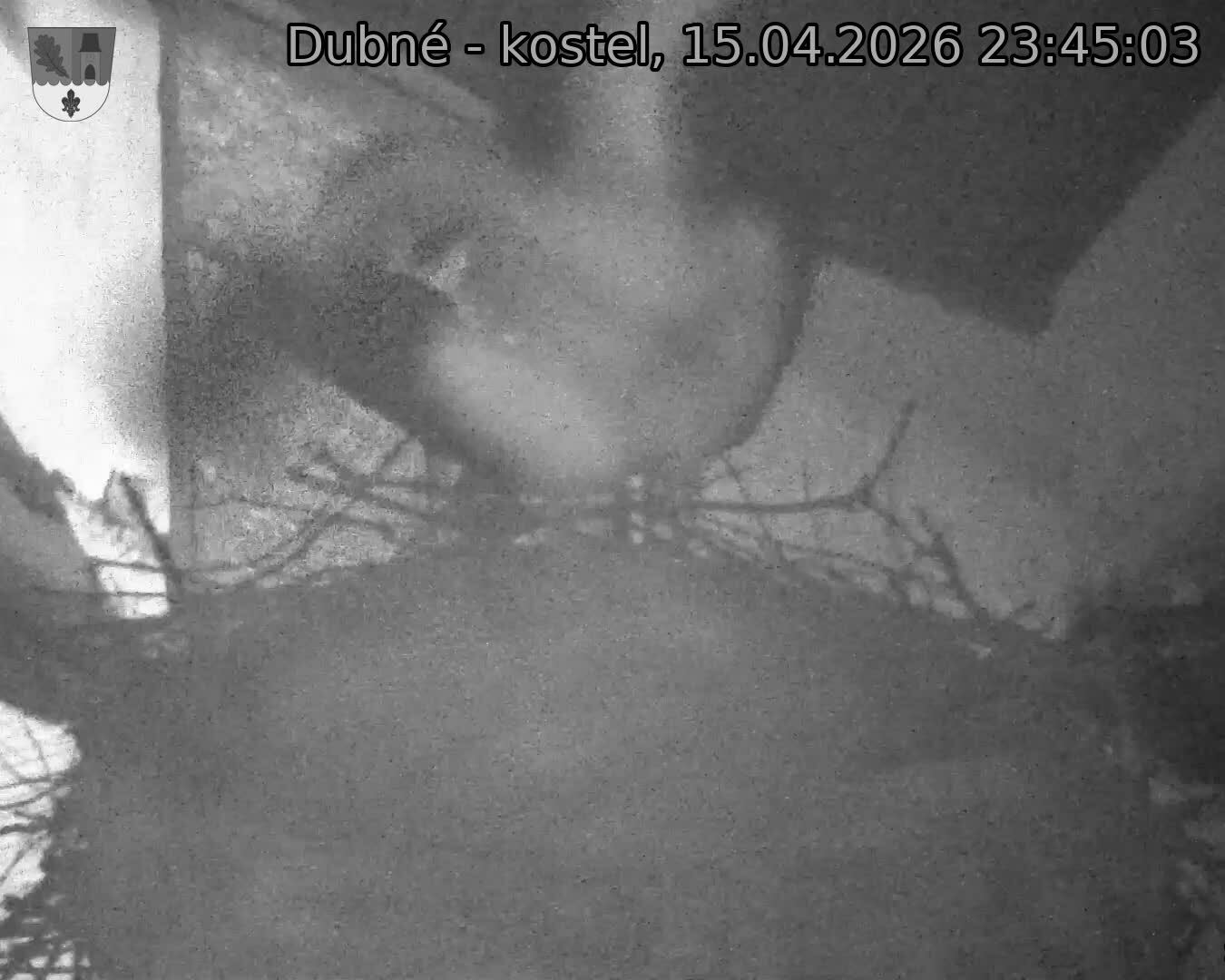 Capi_Dubne_20260415_234503.jpg (1350&nbsp;x&nbsp;1080)