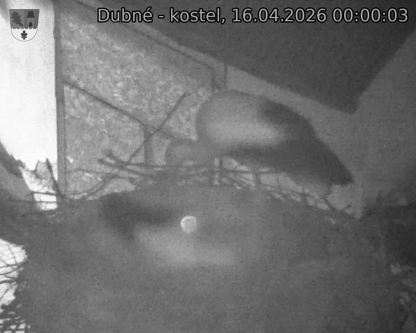 Capi_Dubne_20260416_000003.jpg (1350&nbsp;x&nbsp;1080)