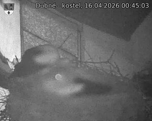 Capi_Dubne_20260416_004503.jpg (1350&nbsp;x&nbsp;1080)