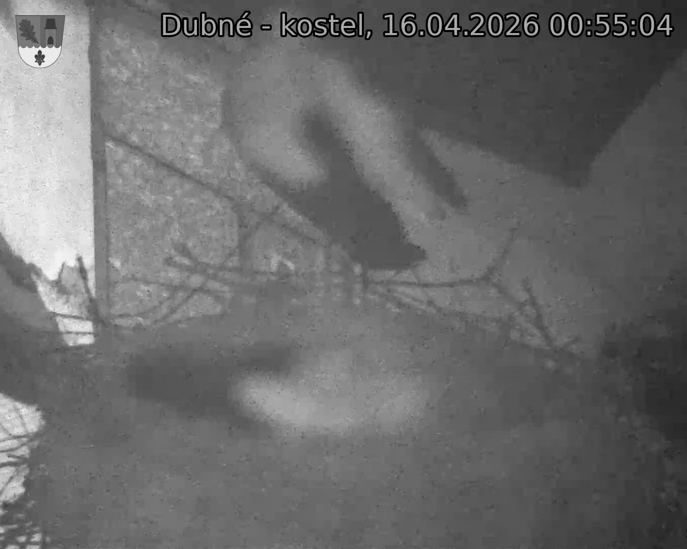 Capi_Dubne_20260416_005504.jpg (1350&nbsp;x&nbsp;1080)