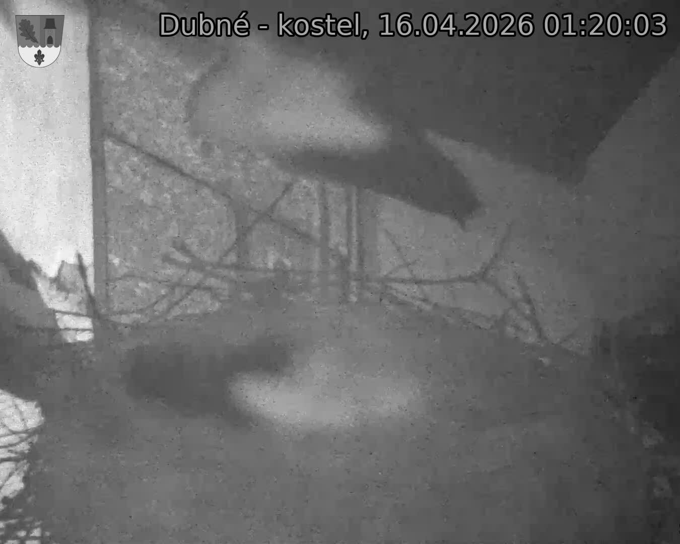 Capi_Dubne_20260416_012003.jpg (1350&nbsp;x&nbsp;1080)