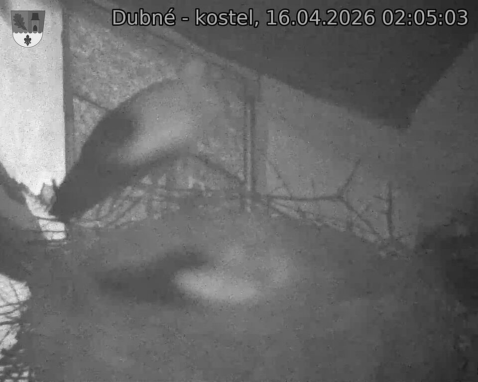 Capi_Dubne_20260416_020503.jpg (1350&nbsp;x&nbsp;1080)
